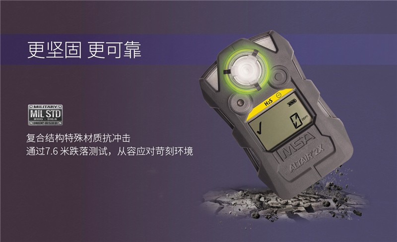 梅思安10196225（國產(chǎn)版）天鷹2XT雙氣體檢測儀圖片5