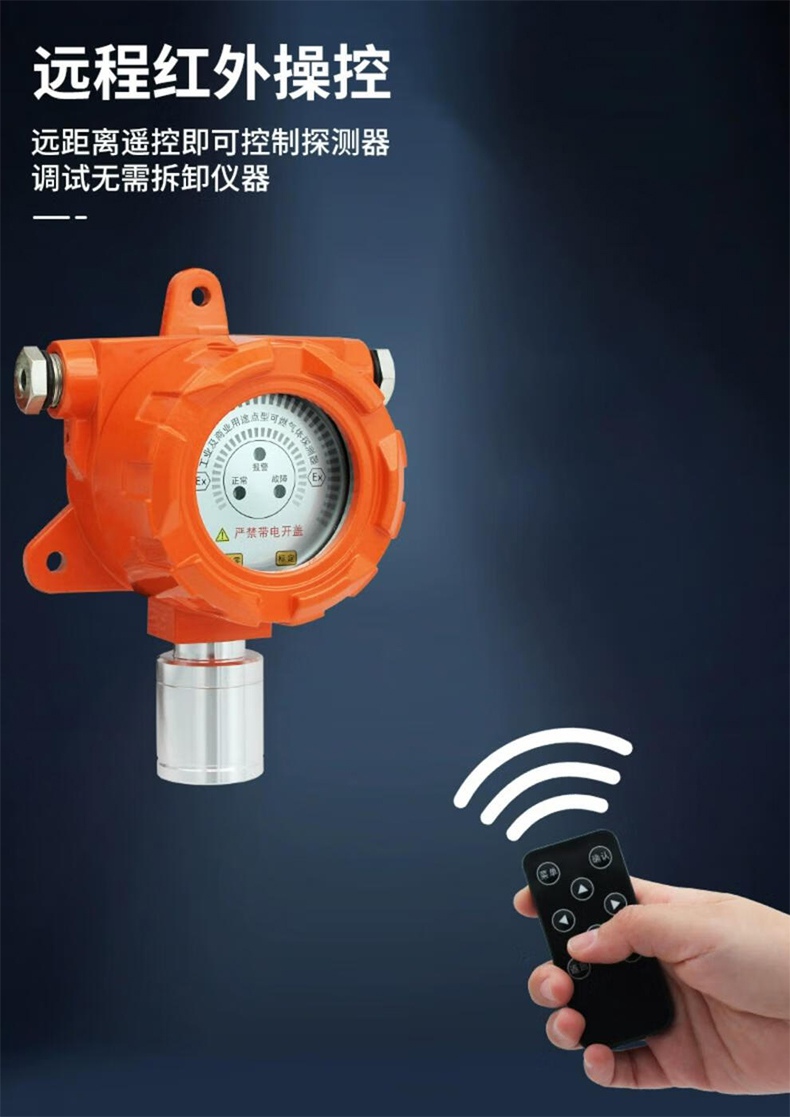 愛德克斯GT-GND20液晶版氣體探測(cè)儀6.jpg