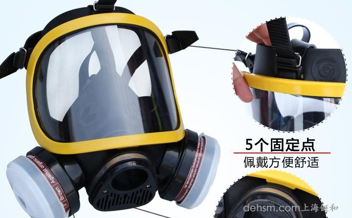 DH20154全面罩防毒面具細節(jié)圖1